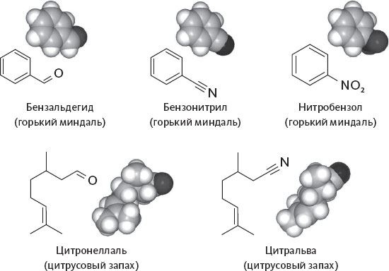 Обоняние. Увлекательное погружение в науку о запахах