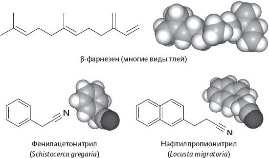 Обоняние. Увлекательное погружение в науку о запахах