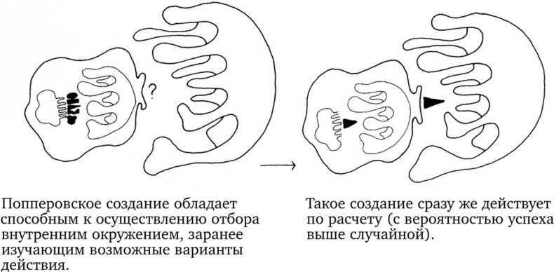 Опасная идея Дарвина: Эволюция и смысл жизни