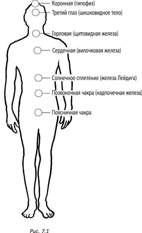 Полная книга ведьмовства. Классический курс Викки