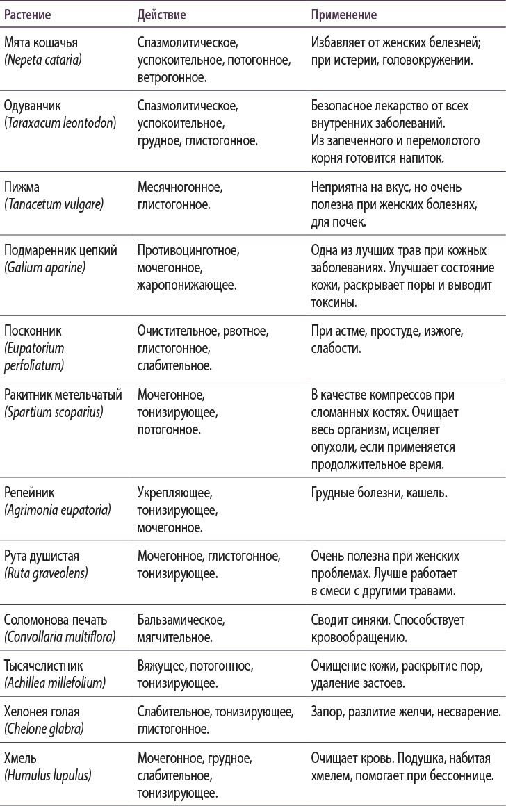 Полная книга ведьмовства. Классический курс Викки