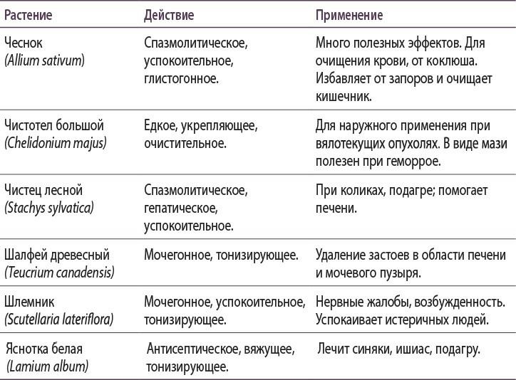 Полная книга ведьмовства. Классический курс Викки