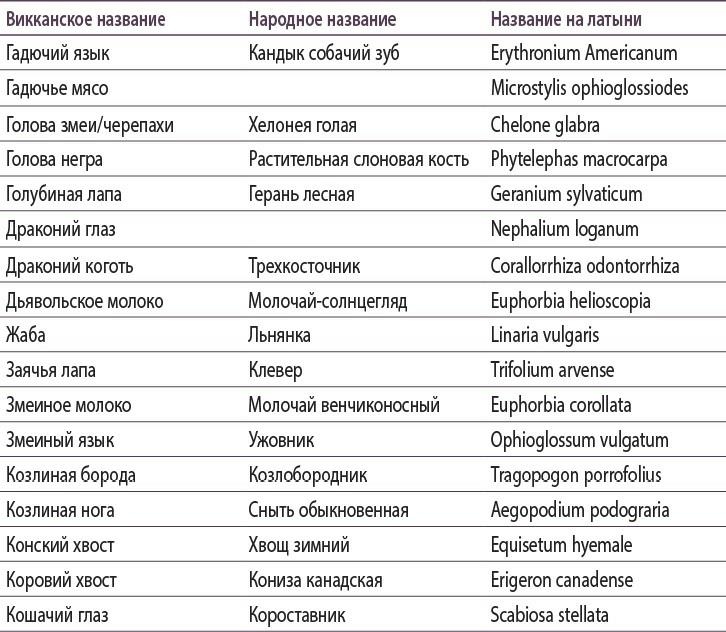 Полная книга ведьмовства. Классический курс Викки