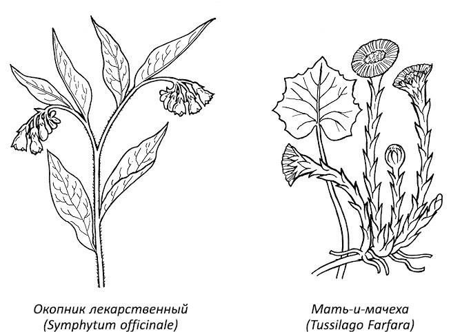 Полная книга ведьмовства. Классический курс Викки