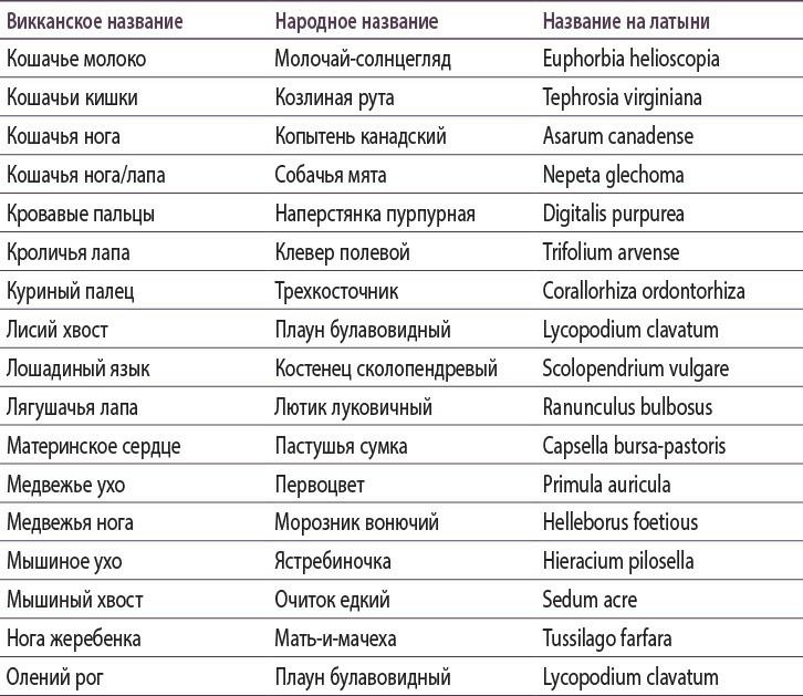 Полная книга ведьмовства. Классический курс Викки