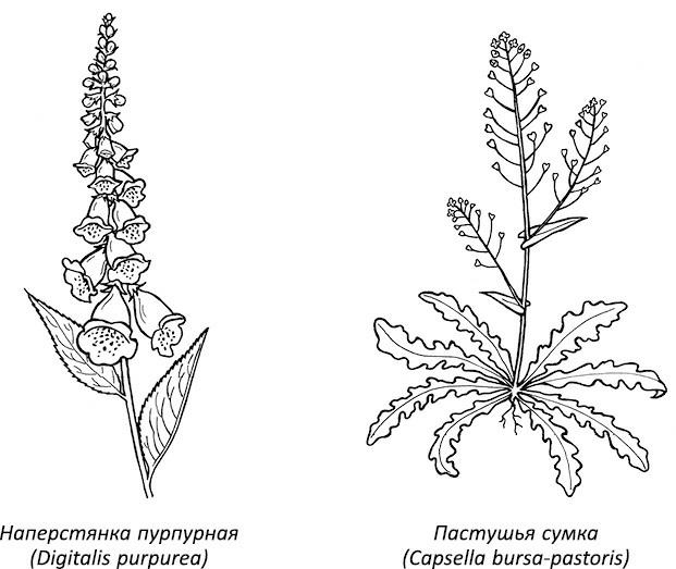 Полная книга ведьмовства. Классический курс Викки