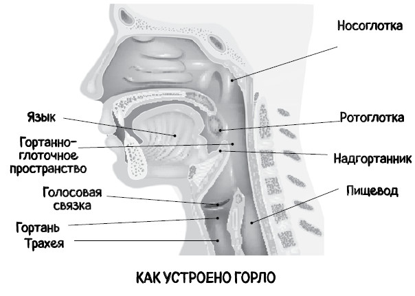 Почему болит горло. Першение, кашель, боль, храп – как не пропустить опасные симптомы