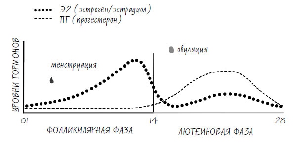 Женское здоровье. Без стыда и глупостей