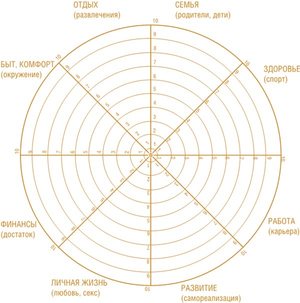 Фабрика фитоняшек. Путь к телу и делу мечты