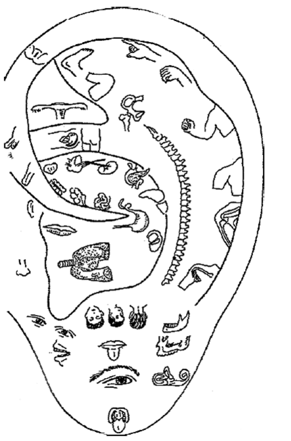 Чуткое ухо. Что может рассказать о вашем здоровье ушная раковина