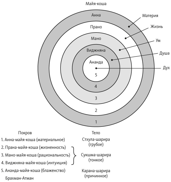 Краткая история всего