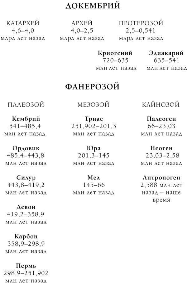 Палеонтология антрополога. Книга 2. Мезозой