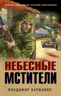 Книга Небесные мстители