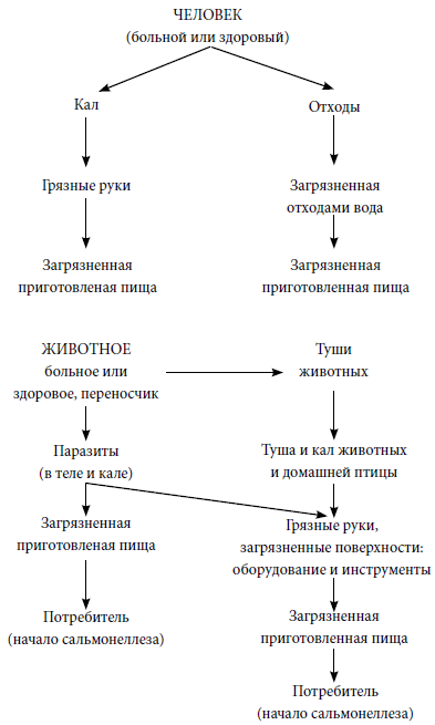 Кулинарная наука, или Научная кулинария