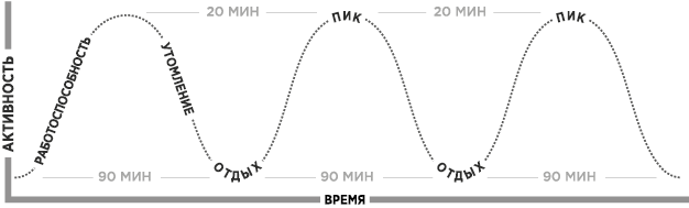 Продуктивная лентяйка. Как не делать лишнего и все успевать