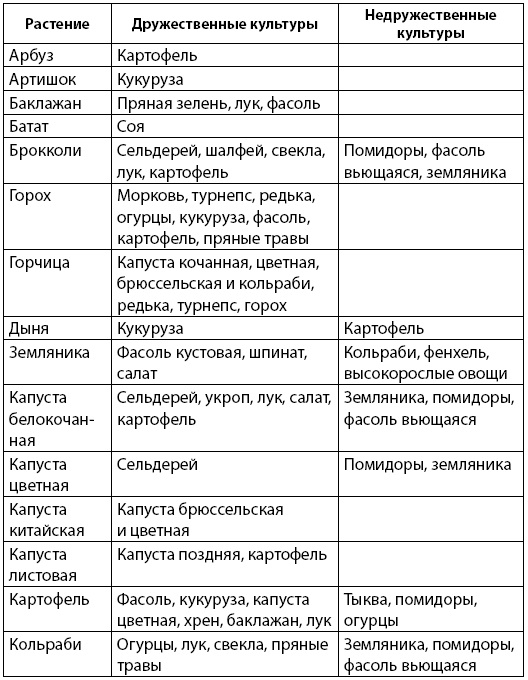 Как заработать на своем огороде и не превратиться в раба