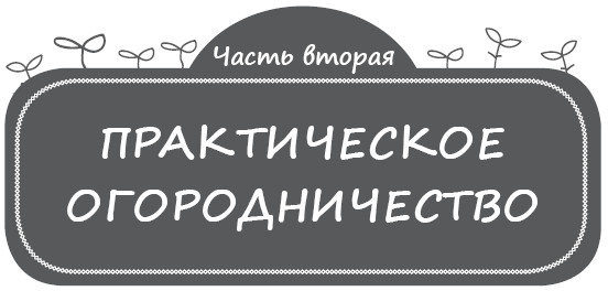 Как заработать на своем огороде и не превратиться в раба