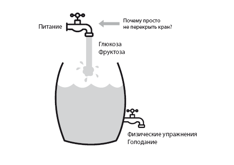 Код диабета. Научные данные о том, как диабет 2-го типа стал самой «внезапной» болезнью столетия, и простая программа восстановления без инъекций и лекарств