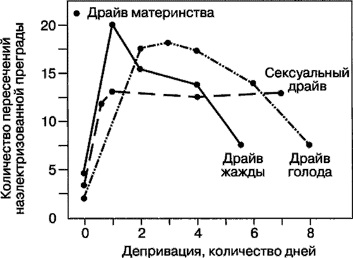 Мотивация человека