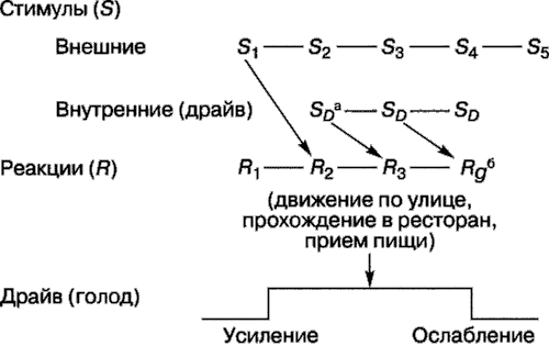 Мотивация человека