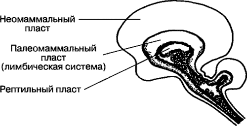 Мотивация человека