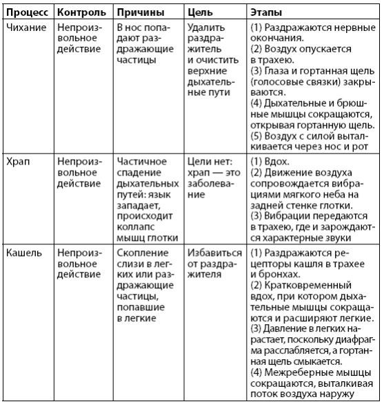 Взламывая анатомию