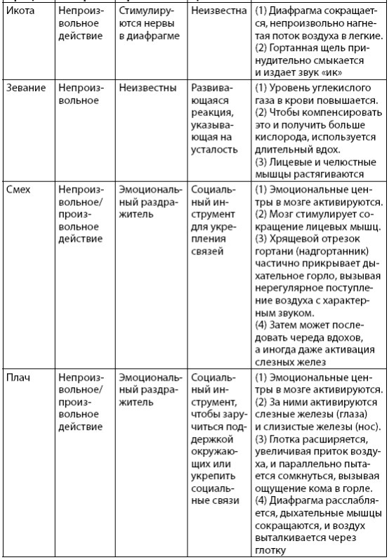 Взламывая анатомию