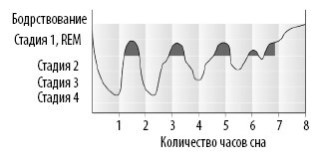 Взламывая анатомию