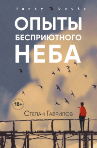 Книга Опыты бесприютного неба