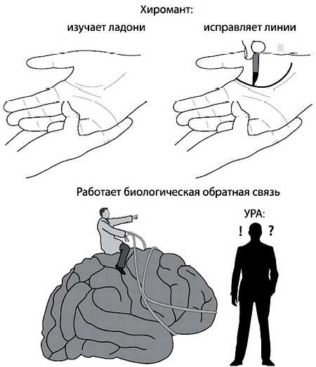 Ваши руки и ладони раскрывают вам секреты. Хиромантические этюды