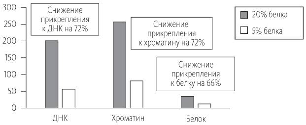 Китайское исследование