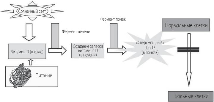 Китайское исследование