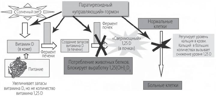 Китайское исследование