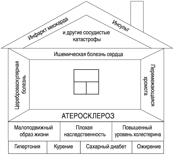 Сердце. Как не дать ему остановиться раньше времени