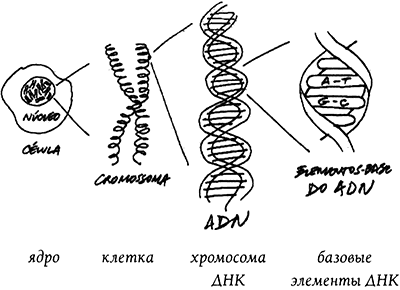 Последняя тайна