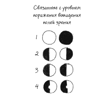 История зрения: путь от светочувствительности до глаза