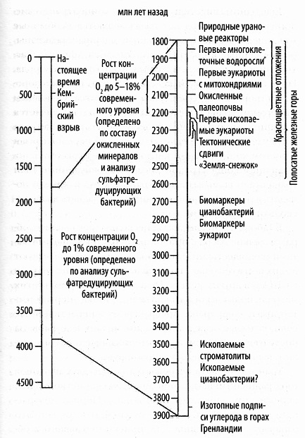 Кислород. Молекула, изменившая мир