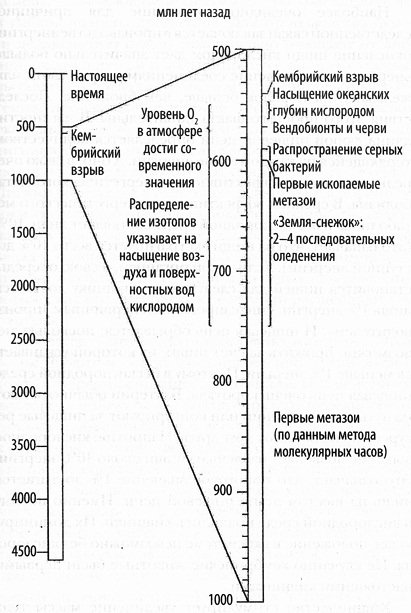 Кислород. Молекула, изменившая мир