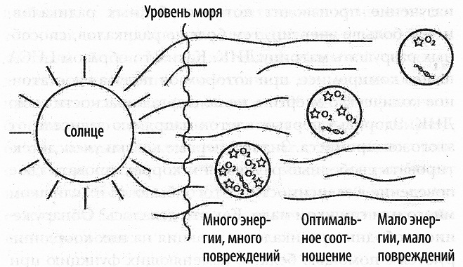 Кислород. Молекула, изменившая мир