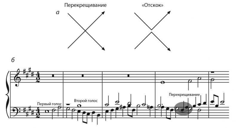 Музыкальный инстинкт. Почему мы любим музыку