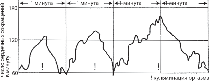 Мульти-оргазмический мужчина. Как каждый мужчина может испытать множественный оргазм и сделать потрясающими свои сексуальные отношения