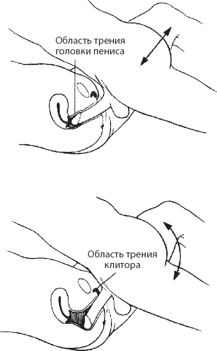 Мульти-оргазмический мужчина. Как каждый мужчина может испытать множественный оргазм и сделать потрясающими свои сексуальные отношения