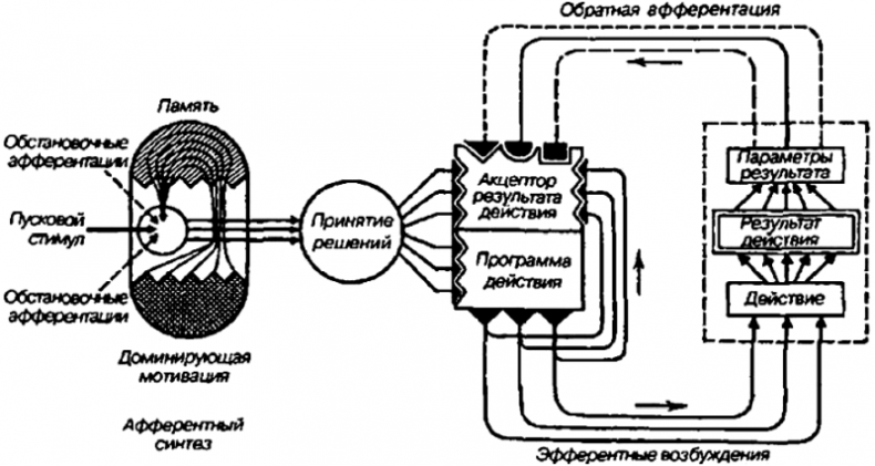 «Павловизация» дрессировки и мифология инстинкта