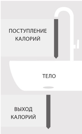 Интервальное голодание. Как восстановить свой организм, похудеть и активизировать работу мозга