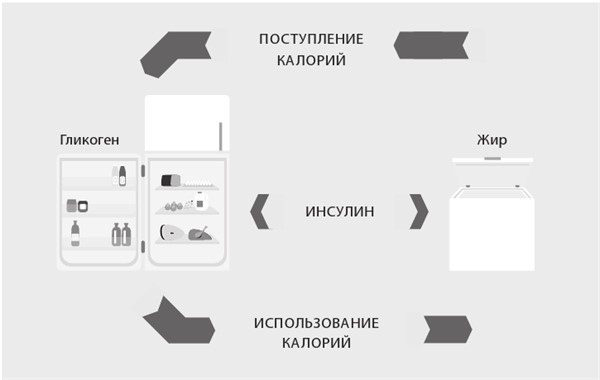 Интервальное голодание. Как восстановить свой организм, похудеть и активизировать работу мозга