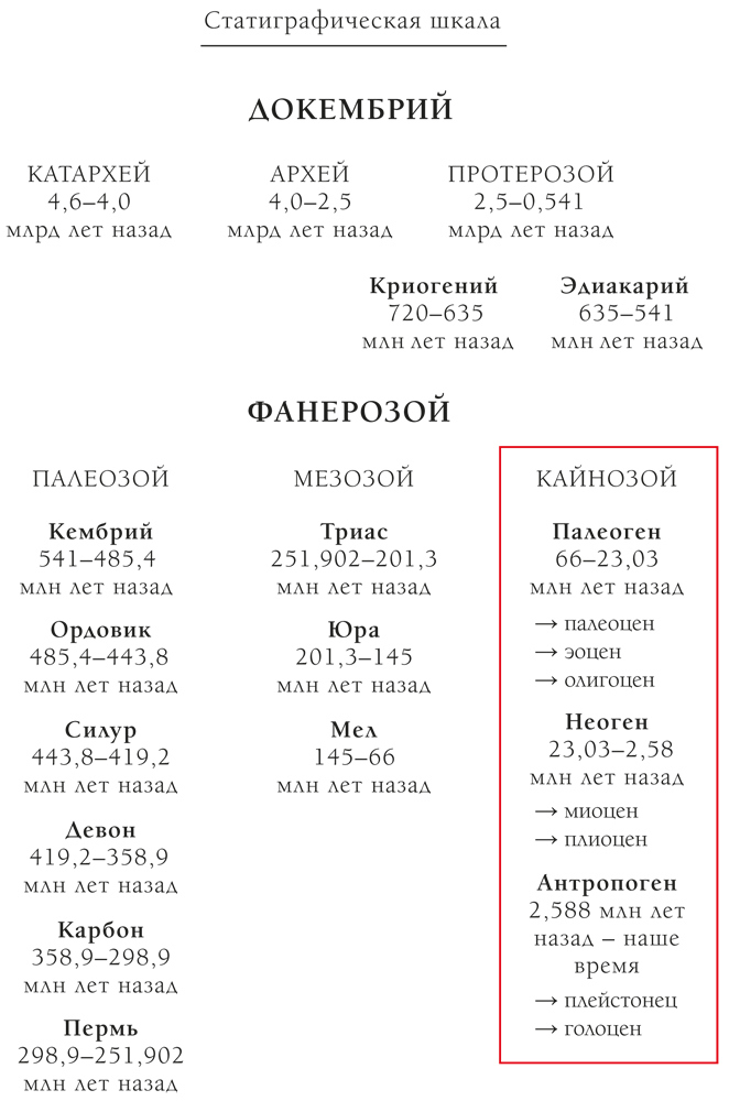 Палеонтология антрополога. Иллюстрированный путеводитель в зверинец прошлого