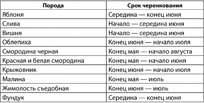 Как обустроить сад и зарабатывать на нем