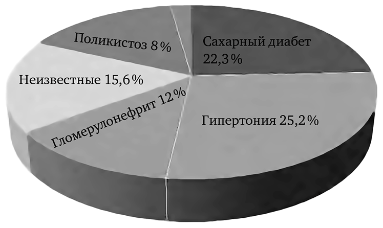 Необыкновенные способности почки. Как сберечь здоровье важнейших органов надолго