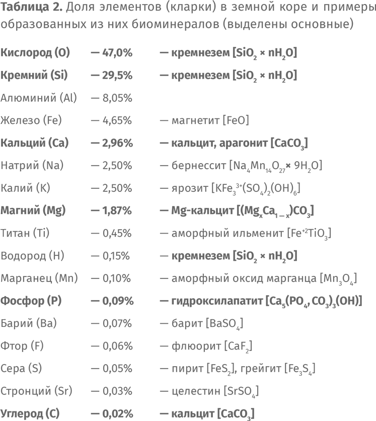 Сотворение Земли. Как живые организмы создали наш мир