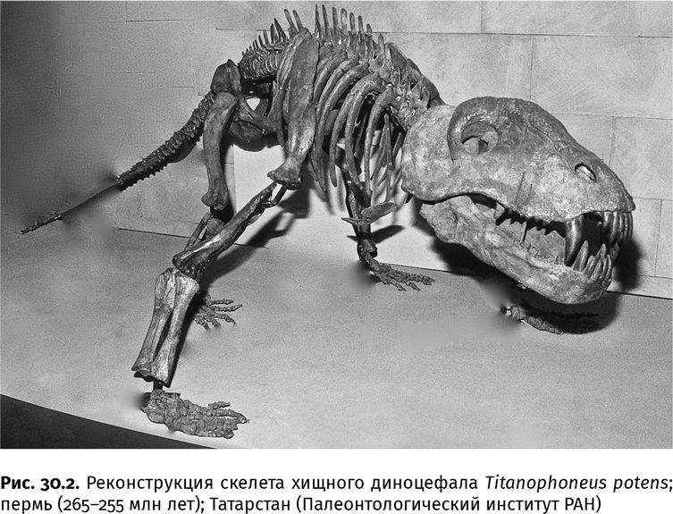 Сотворение Земли. Как живые организмы создали наш мир